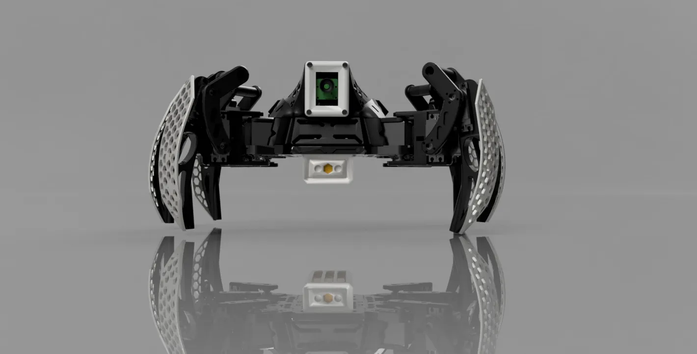 Spider Robot